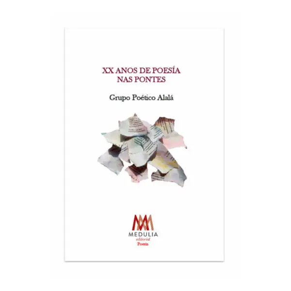 XX ANOS DE POESÍA NAS PONTES