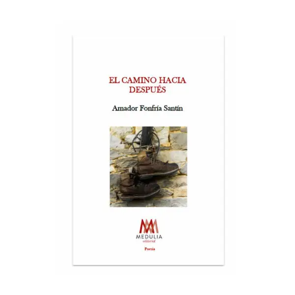 EL CAMINO HACIA DESPUÉS