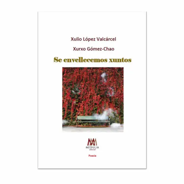 SE ENVELLECEMOS XUNTOS