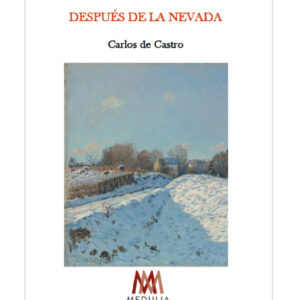Después de la nevada